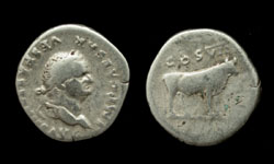 Vespasian, Denarius, Cow reverse